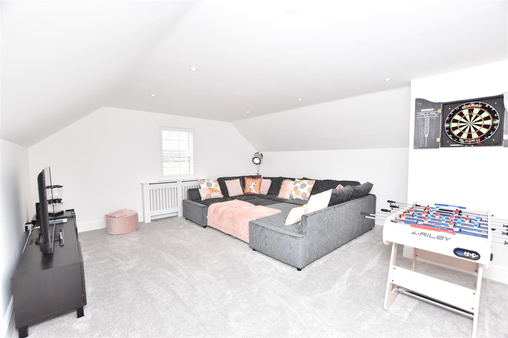 BEDROOM/CINEMA ROOM